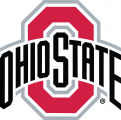 Ohio State Buckeyes 2013-Pres Primary Logo Iron On Transfer