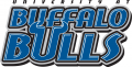 Buffalo Bulls 1997-2006 Wordmark Logo 02 Print Decal