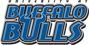 Buffalo Bulls 1997-2006 Wordmark Logo 02 Iron On Transfer