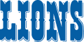 Detroit Lions 1970-2008 Wordmark Logo Iron On Transfer