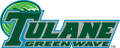 Tulane Green Wave 2014-Pres Wordmark Logo Iron On Transfer