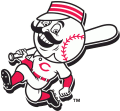 Cincinnati Reds 2007-Pres Alternate Logo 02 Iron On Transfer