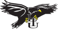 LIU-Brooklyn Blackbirds 1996-2007 Primary Logo Print Decal