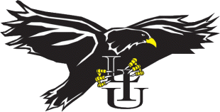 LIU-Brooklyn Blackbirds 1996-2007 Primary Logo Iron On Transfer