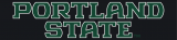 Portland State Vikings 2016-Pres Wordmark Logo 03 Print Decal