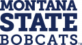 Montana State Bobcats 2013-Pres Wordmark Logo 01 Print Decal