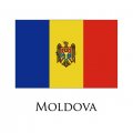 Moldova flag logo Iron On Transfer