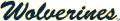 Michigan Wolverines 1996-Pres Wordmark Logo 02 Print Decal