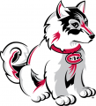 St.Cloud State Huskies 2000-2013 Misc Logo Print Decal