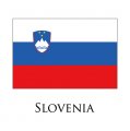 Slovenia flag logo Iron On Transfer
