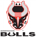 Birmingham Bulls 2017 18-Pres Primary Logo Iron On Transfer