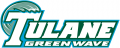 Tulane Green Wave 1998-2013 Wordmark Logo 03 Print Decal