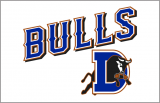 Durham Bulls 2013-Pres Jersey Logo Iron On Transfer