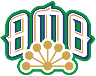 Salavat Yulaev Ufa 2014-Pres Alternate Logo 3 Iron On Transfer