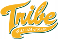 William and Mary Tribe 2016-2017 Alternate Logo Print Decal