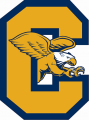 Canisius Golden Griffins 2006-Pres Alternate Logo Print Decal