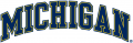 Michigan Wolverines 1996-Pres Wordmark Logo 11 Iron On Transfer