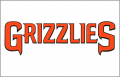 Fresno Grizzlies 2008-2014 Jersey Logo Iron On Transfer