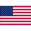 Flag Logo 14 Print Decal