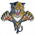 Florida Panthers Plastic Effect Logo Print Decal