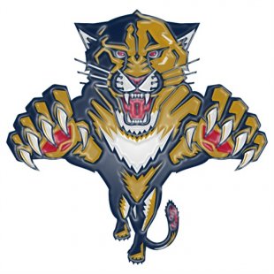 Florida Panthers Plastic Effect Logo Iron On Transfer