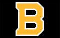 Boston Bruins 2019 20-Pres Jersey Logo Print Decal