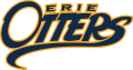 Erie Otters 2016 17-2018 19 Primary Logo Iron On Transfer