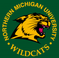 Northern Michigan Wildcats 1993-2015 Alternate Logo 01 Iron On Transfer