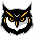 Kennesaw State Owls 2012-Pres Alternate Logo 02 Print Decal