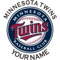 Minnesota Twins Customized Logo Iron On Transfer