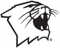 Northwestern Wildcats 1981-Pres Partial Logo 02 Print Decal