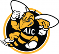AIC Yellow Jackets 2009-Pres Alternate Logo 02 Iron On Transfer