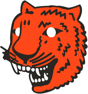 Detroit Tigers 1927-1928 Primary Logo Iron On Transfer
