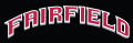 Fairfield Stags 2002-Pres Wordmark Logo 02 Iron On Transfer