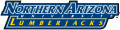 Northern Arizona Lumberjacks 2005-2013 Wordmark Logo 02 Print Decal