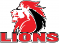 Lions 1996-Pres Primary Logo Print Decal