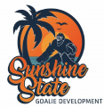 SUNSHINE STATE Iron On Transfer