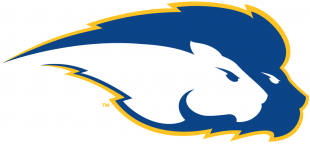 Hofstra Pride 2005-Pres Secondary Logo Iron On Transfer