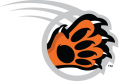 RIT Tigers 2004-Pres Alternate Logo 01 Print Decal