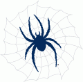 Richmond Spiders 2002-Pres Alternate Logo 05 Print Decal