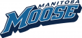 Manitoba Moose 2015 16-Pres Wordmark Logo Iron On Transfer