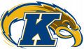 Kent State Golden Flashes 2000-Pres Alternate Logo Print Decal