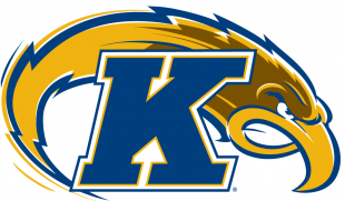 Kent State Golden Flashes 2000-Pres Alternate Logo Print Decal