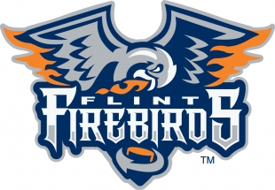 Flint Firebirds 2015 16-Pres Primary Logo Iron On Transfer