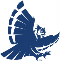 Rice Owls 1997-2009 Secondary Logo 01 Iron On Transfer