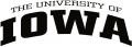 Iowa Hawkeyes 2002-Pres Wordmark Logo 02 Print Decal