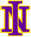 Northern Iowa Panthers 1981-2000 Primary Logo Iron On Transfer