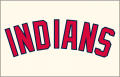 Cleveland Indians 2008-Pres Jersey Logo Print Decal