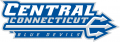 Central Connecticut Blue Devils 2011-Pres Wordmark Logo Iron On Transfer