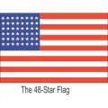 Flag Logo 20 Print Decal